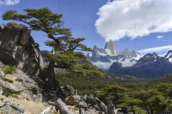 Cerro Fitz Roy