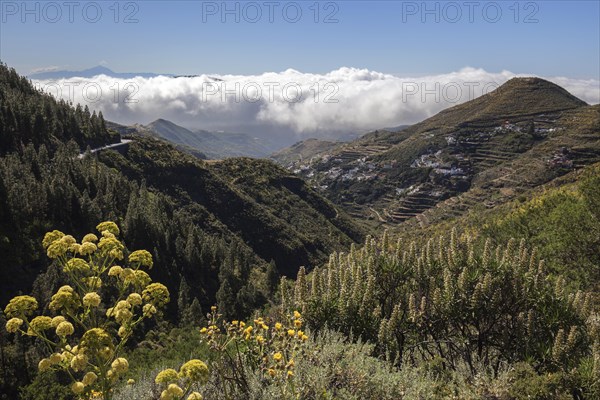 View into the Barranco Hondo de Abajo