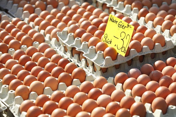 Fresh brown eggs in egg cartons with price tag at a market stall