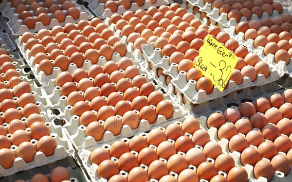 Fresh brown eggs in egg cartons with price tag at a market stall