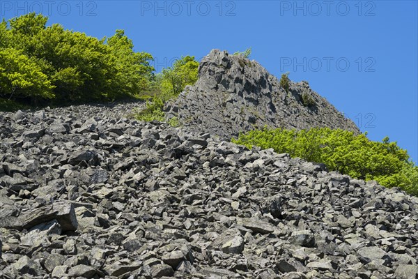 Block heap at Milseburg mountain