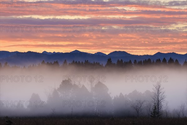 Alpine foothills landscape at morning fog