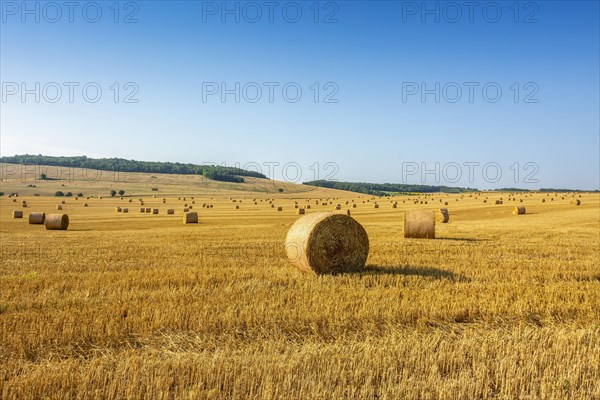 Bales of straw in region Limagne