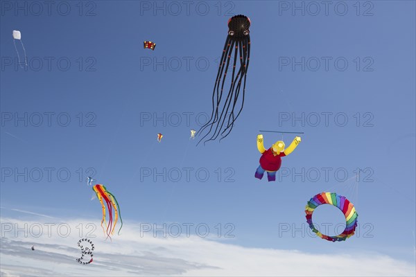 Octopus figur and other figures as kites