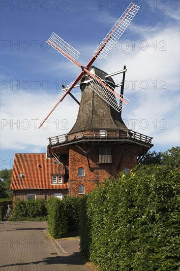 Windmill Aurora