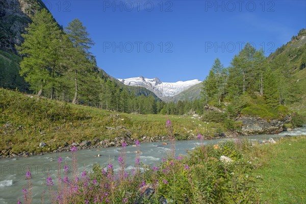 Gschlossbach in Tauern Valley