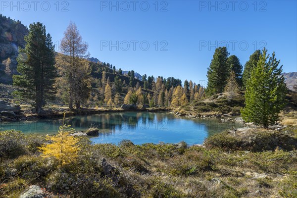 Berglisee in the Samnaungruppe