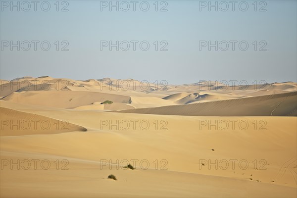 Sand dunes near Lange Wand