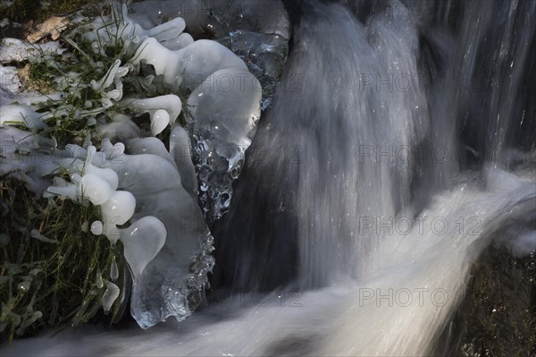 Icicles in creek