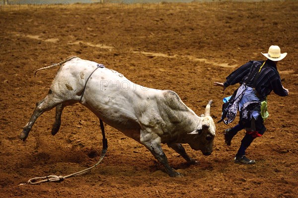 Stockyards Championship Rodeo