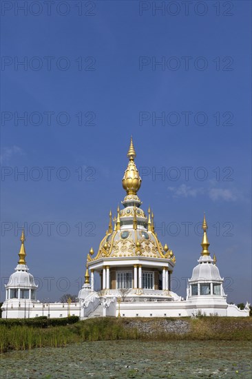 Pond with Lotus (Nelumbo) in front of Maha Rattana Chedi of Wat Thung Setthi