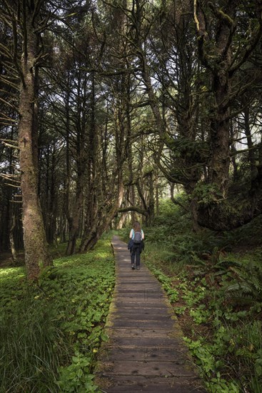 Tourist on her way through rainforest