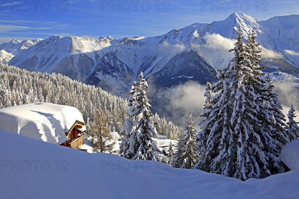 Winter landscape with snow-covered chalet