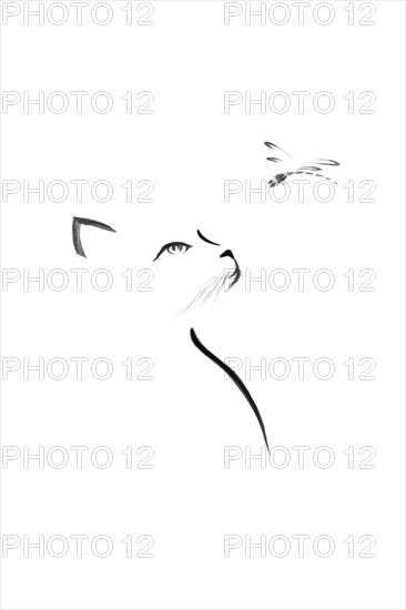 Artistic outline of a Cat looking at a dragonfly