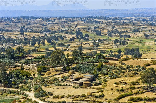 View of fields