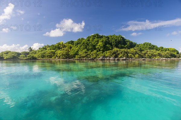 Clear waters on Bird Island