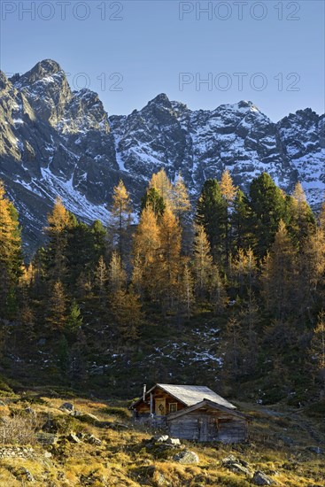 Innerbergli-Alm in autumn in the Samnaungruppe