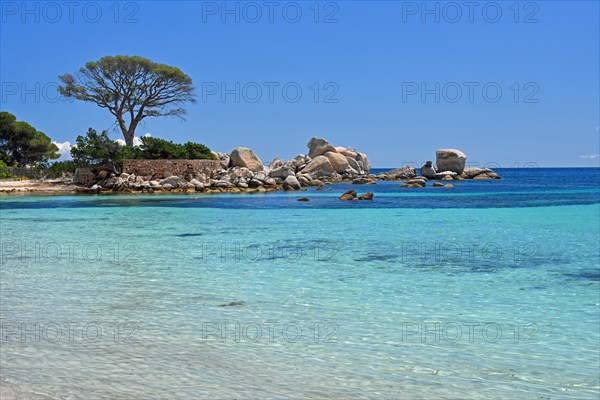 Palombaggia beach with turquoise green sea