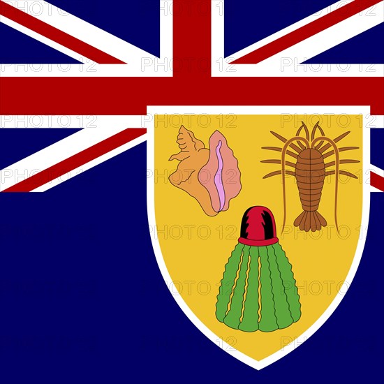 Official national flag of the Turks and Caicos Islands