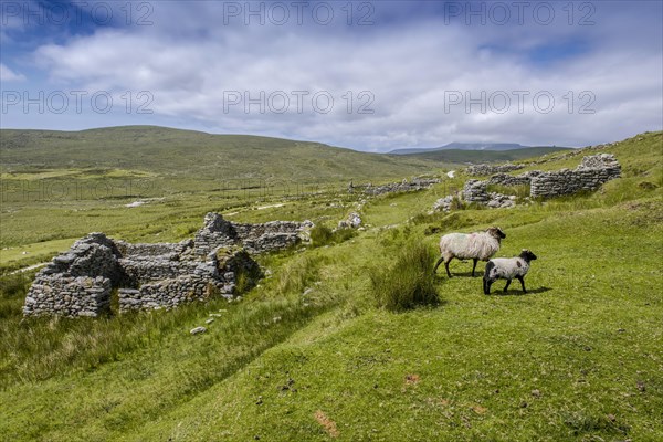 Dilapidated stone walls of a former settlement