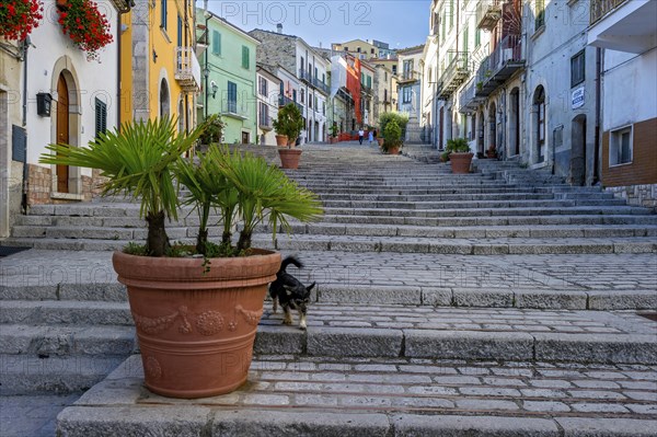 Long stairs