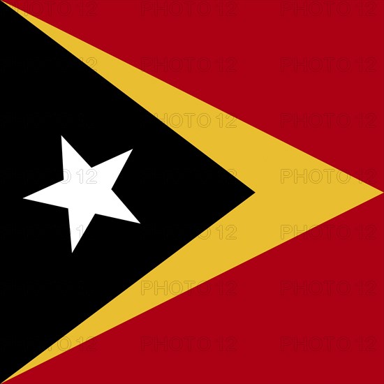 Official national flag of Timor-Leste