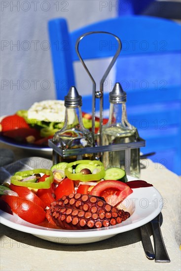 Octopus with tomato and paprika served on plate