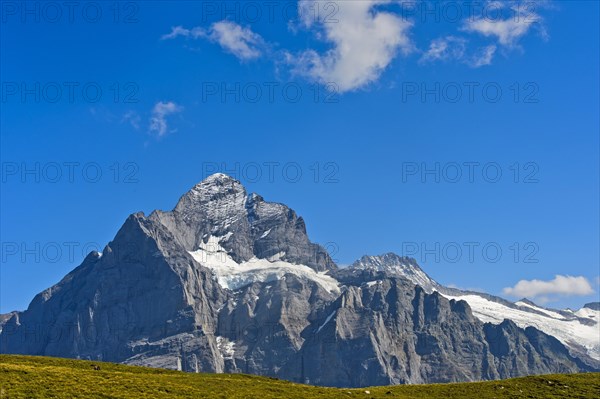 In the hiking area Grindelwald First