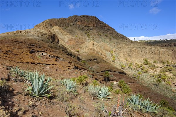 Ancient cave dwelling on Calvario Mountain