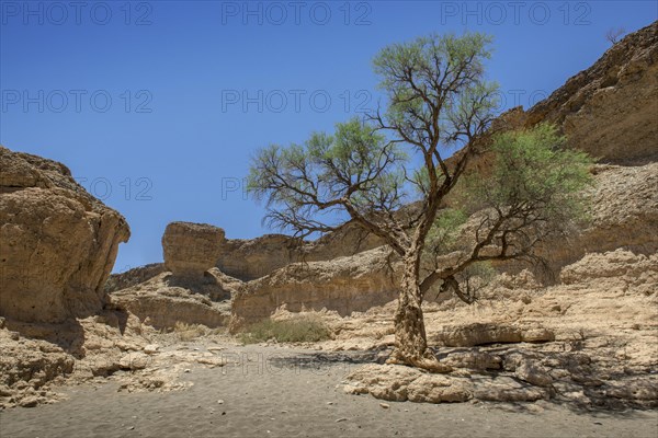 Sesriem Canyon