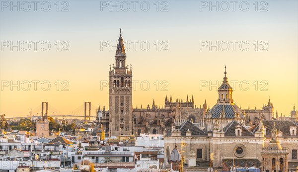 View of La Giralda and Iglesia del Salvador