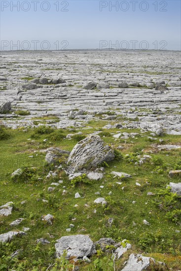 Burren karst landscape