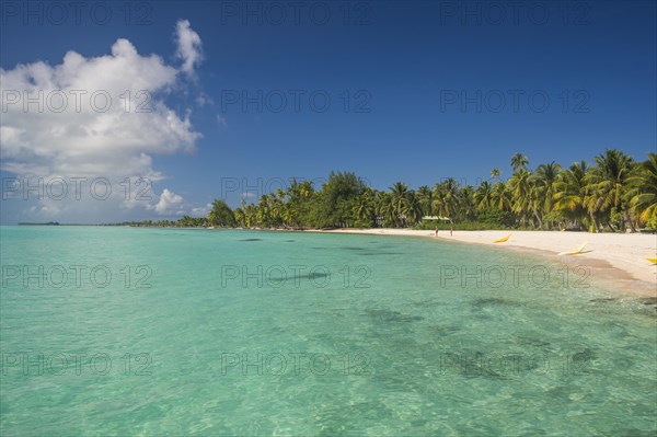 Palm fringed white sand beach in the turquoise waters of Tikehau