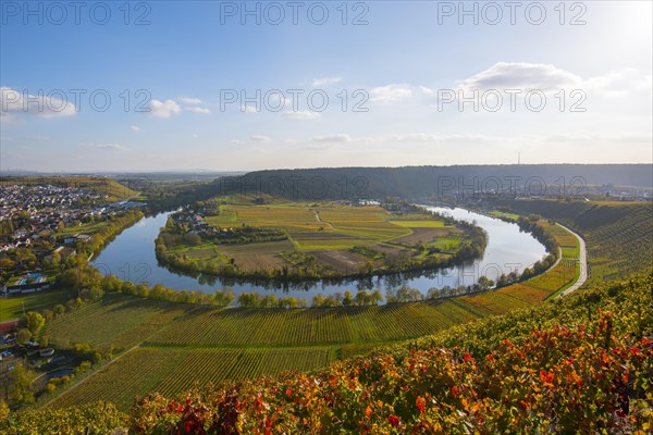 Neckar loop near Mundelsheim