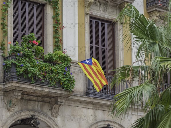 Catalan flag at the window