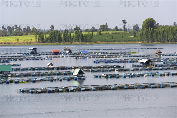 Freshwater fish farm in Lam Pao River