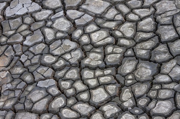 Ruptured soil in the Solfatar field at Namafjall volcano