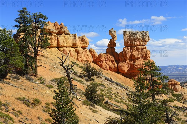 Fairyland Trail at the Amphitheatre