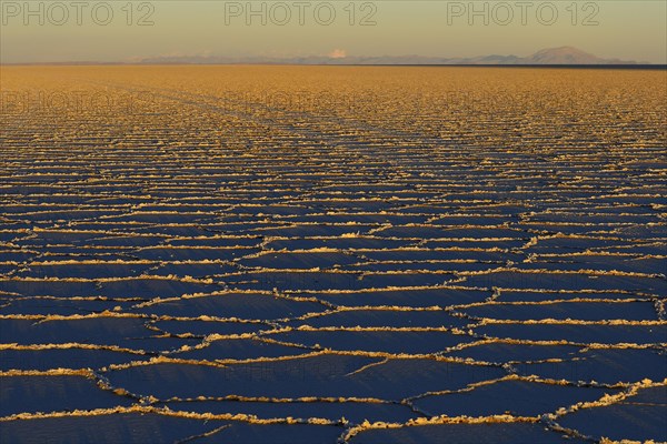 Honeycomb structure on the salt lake at sunrise
