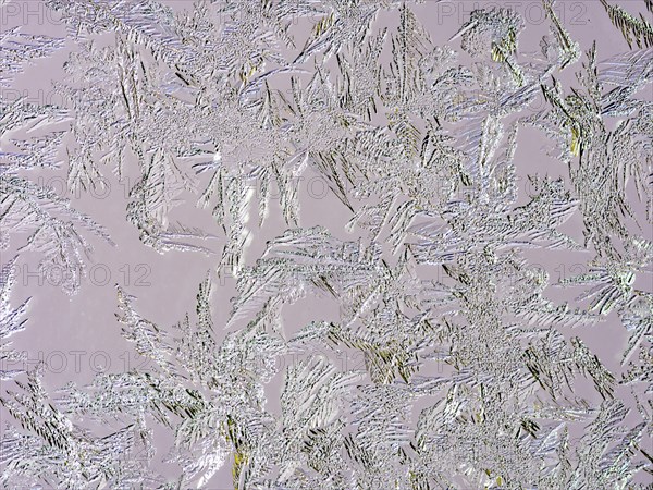 Ice crystals at a window