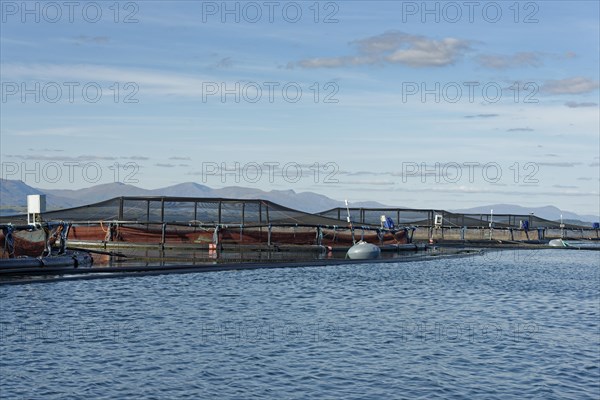 Fish farming near Kerrera