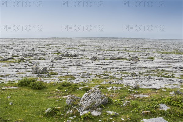 Burren karst landscape