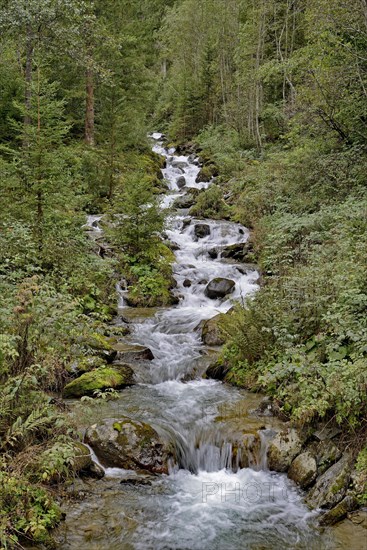 Gartlbach