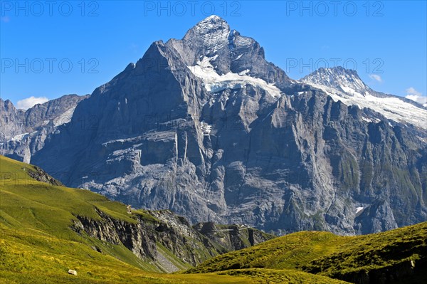 In the hiking area Grindelwald First