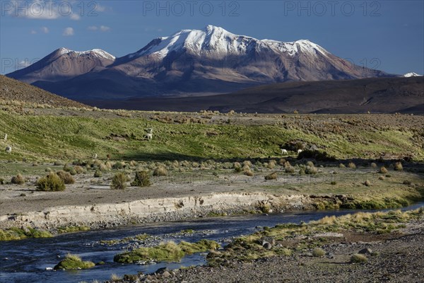 Snow covered volcano Parinacota