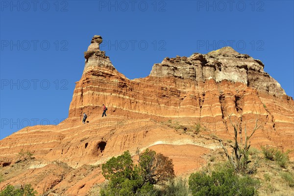 Hikers on the Light House Trail