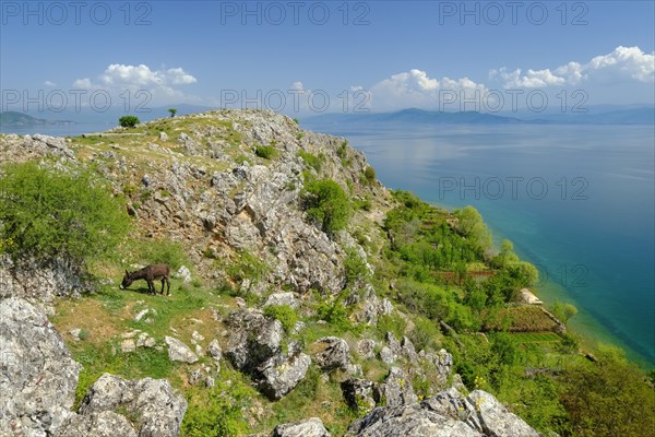 Lake Ohrid near Lin