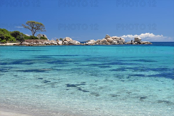 Palombaggia beach with turquoise green sea and rock formations