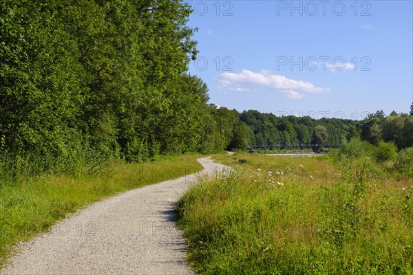 Path on the banks of the Isar