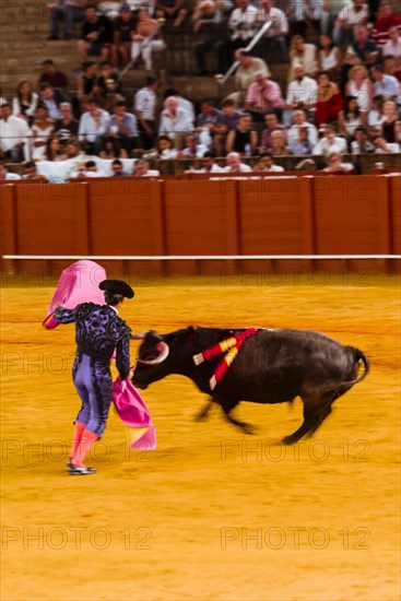 Racing bull with matador